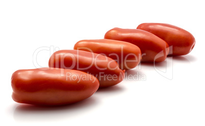 Fresh san marzano tomato isolated on white