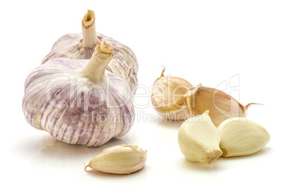 Common garlic isolated on white