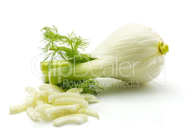 Fresh fennel isolated on white