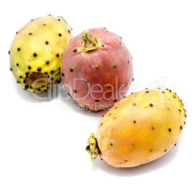 Fresh opuntia isolated on white