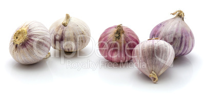 Fresh chinese garlic isolated on white