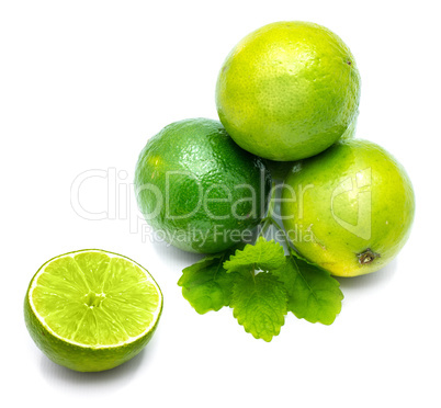 Fresh lime and melissa isolated on white