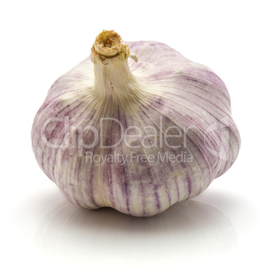 Common garlic isolated on white