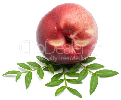 Fresh nectarine isolated on white