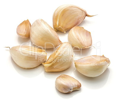 Common garlic isolated on white