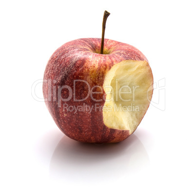 Apple gala variety isolated on white