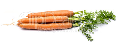 Raw carrot isolated on white