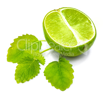 Fresh lime and melissa isolated on white