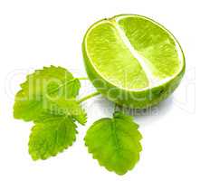 Fresh lime and melissa isolated on white