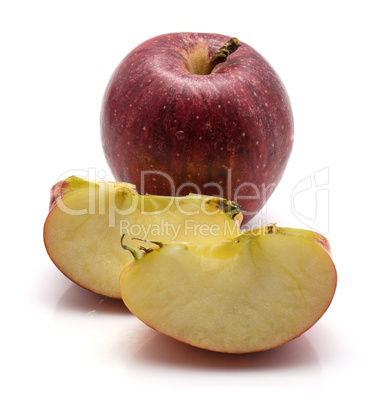 Apple gala variety isolated on white