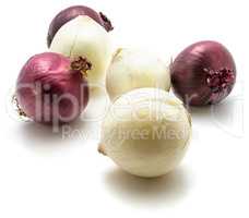 Fresh mixed onion isolated on white
