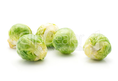 Boiled brussels sprout isolated