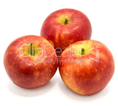 Fresh apple kanzi isolated on white