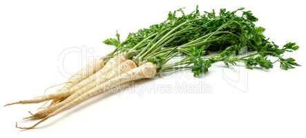 Fresh parsley isolated on white