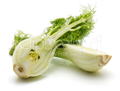 Fresh fennel isolated on white