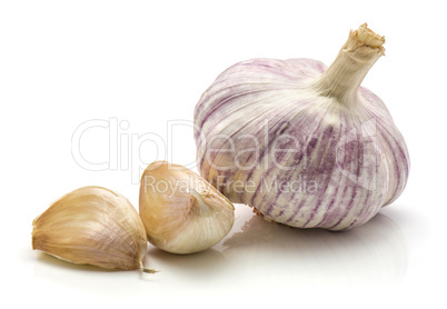 Common garlic isolated on white