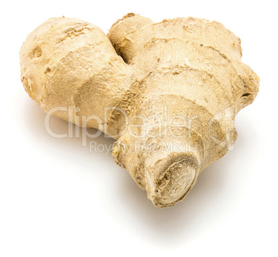 Fresh ginger root isolated on white