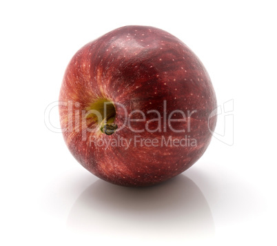 Apple gala variety isolated on white