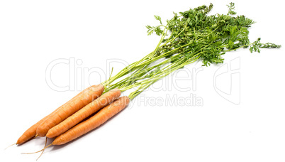 Raw carrot isolated on white