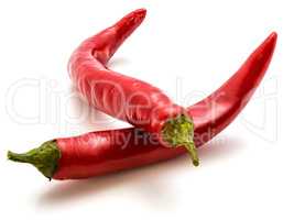 Fresh red chilli pepper isolated