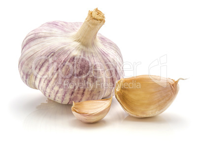 Common garlic isolated on white