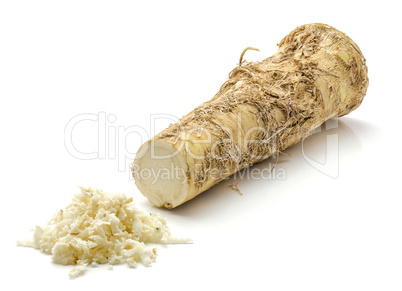 Fresh horseradish isolated on white