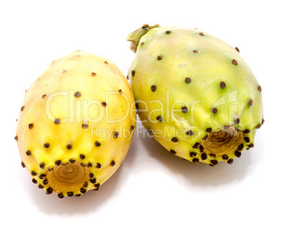 Fresh opuntia isolated on white