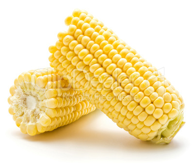 Fresh corn isolated on white