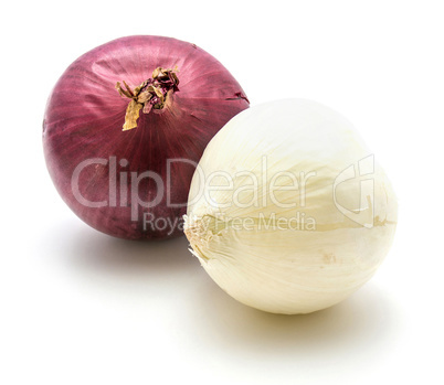 Fresh mixed onion isolated on white