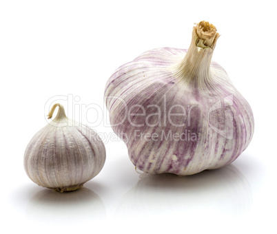 Fresh chinese garlic isolated on white