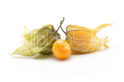 Fresh physalis isolated on white