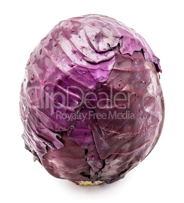 Fresh red cabbage isolated on white