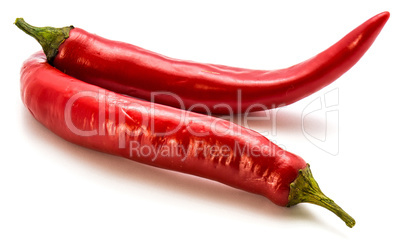 Fresh red chilli pepper isolated