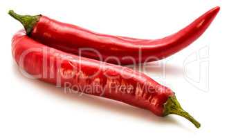 Fresh red chilli pepper isolated