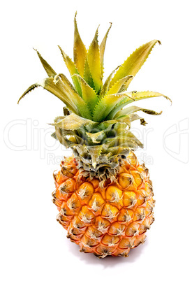 Fresh pineapple isolated on white