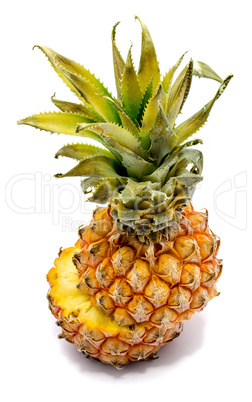 Fresh pineapple isolated on white