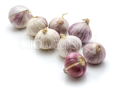 Fresh chinese garlic isolated on white