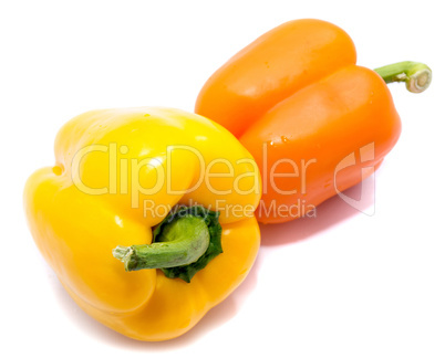 Fresh mixed paprika isolated on white