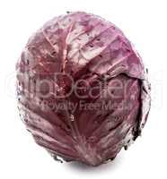 Fresh red cabbage isolated on white