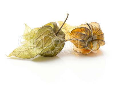 Fresh physalis isolated on white