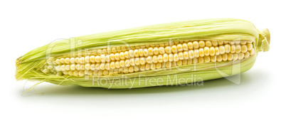 Fresh corn isolated on white