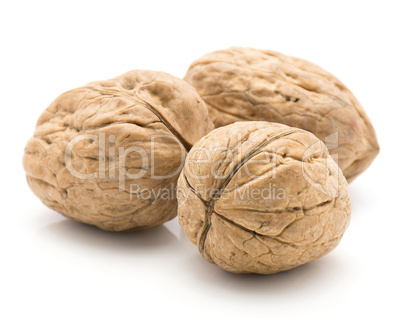 Raw walnut isolated on white