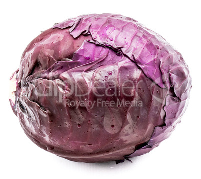 Fresh red cabbage isolated on white