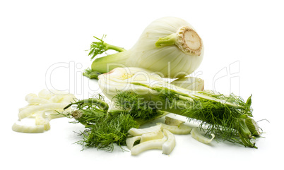 Fresh fennel isolated on white