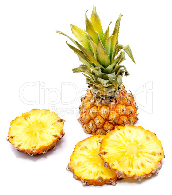 Fresh pineapple isolated on white