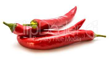 Fresh red chilli pepper isolated