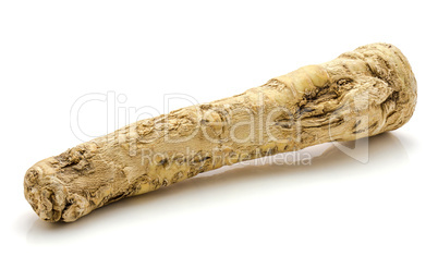 Fresh horseradish isolated on white