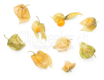 Fresh physalis isolated on white