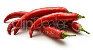 Fresh red chilli pepper isolated