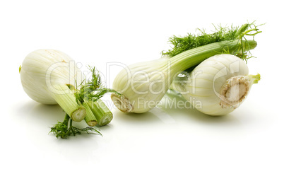 Fresh fennel isolated on white